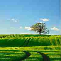 高‍级﻿反﻿爬‌虫‍技‌术﻿平‍台‍